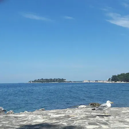 Marija Poreč