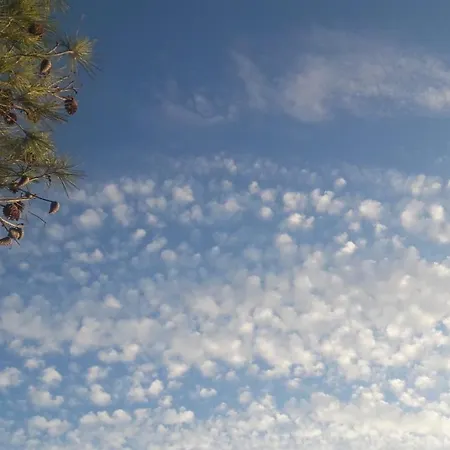 Marija Appartement Poreč