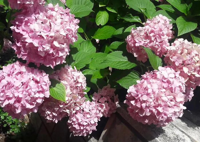 Marija Apartman Porec